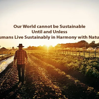 Sustainable Development