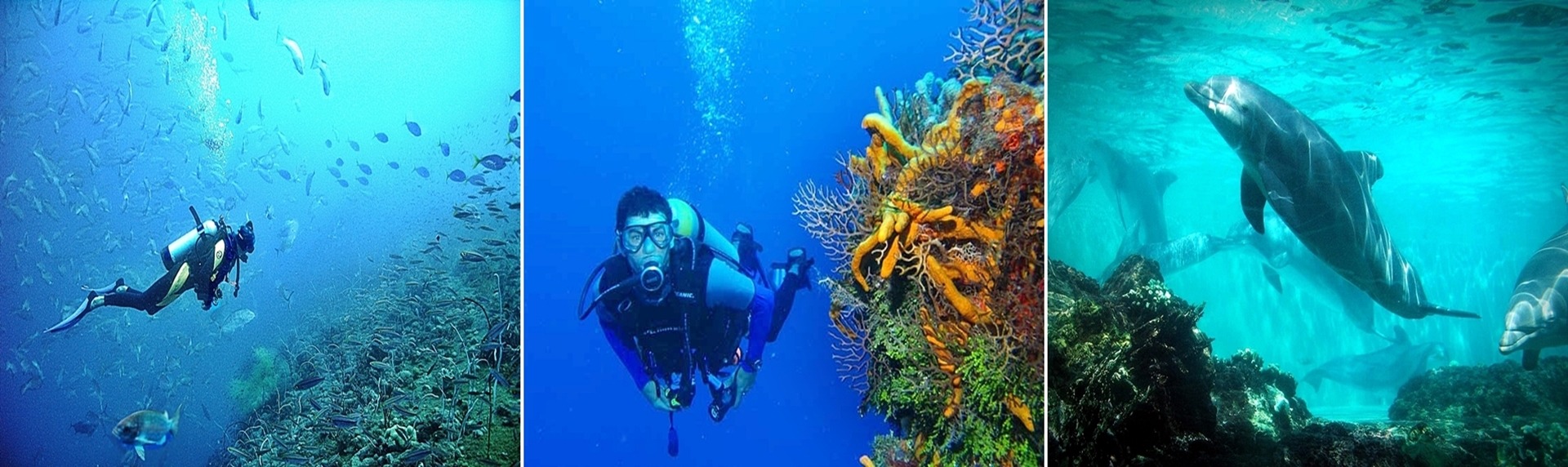 Wellness Zen Harmony Diving