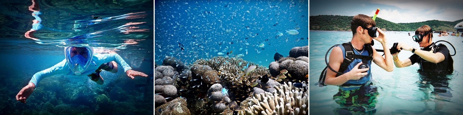 Menjangan Island