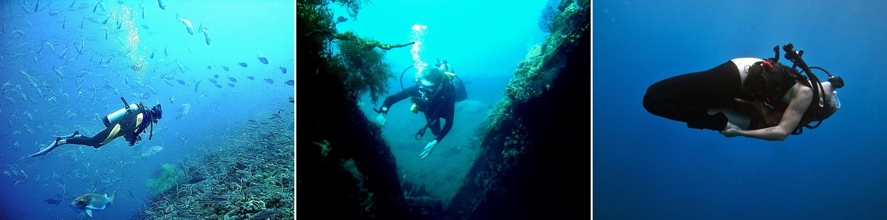 Harmony Diving