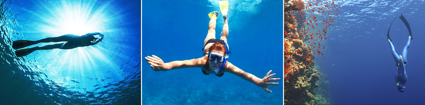 Free Diving