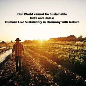 Sustainable Development