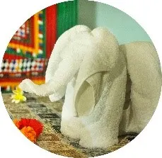 zenart